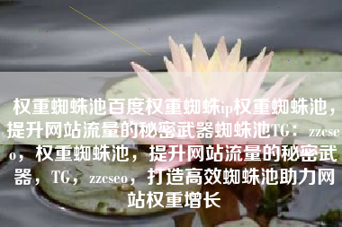 权重蜘蛛池百度权重蜘蛛ip权重蜘蛛池，提升网站流量的秘密武器蜘蛛池TG：zzcseo，权重蜘蛛池，提升网站流量的秘密武器，TG，zzcseo，打造高效蜘蛛池助力网站权重增长