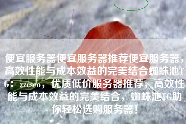 便宜服务器便宜服务器推荐便宜服务器，高效性能与成本效益的完美结合蜘蛛池TG：zzcseo，优质低价服务器推荐，高效性能与成本效益的完美结合，蜘蛛池TG助你轻松选购服务器！