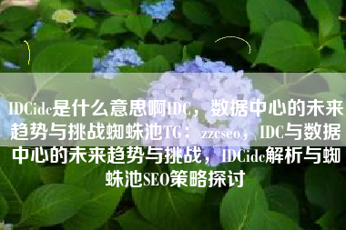 IDCidc是什么意思啊IDC，数据中心的未来趋势与挑战蜘蛛池TG：zzcseo，IDC与数据中心的未来趋势与挑战，IDCidc解析与蜘蛛池SEO策略探讨
