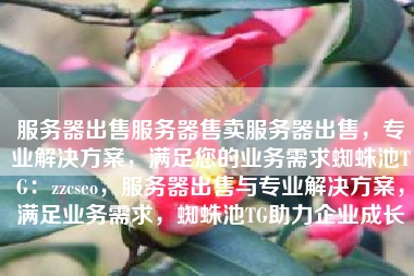 服务器出售服务器售卖服务器出售，专业解决方案，满足您的业务需求蜘蛛池TG：zzcseo，服务器出售与专业解决方案，满足业务需求，蜘蛛池TG助力企业成长