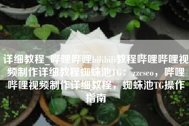 详细教程_哔哩哔哩bilibili教程哔哩哔哩视频制作详细教程蜘蛛池TG：zzcseo，哔哩哔哩视频制作详细教程，蜘蛛池TG操作指南