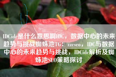 IDCidc是什么意思啊IDC，数据中心的未来趋势与挑战蜘蛛池TG：zzcseo，IDC与数据中心的未来趋势与挑战，IDCidc解析及蜘蛛池SEO策略探讨