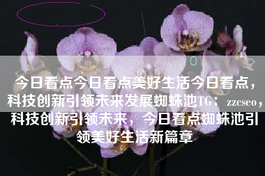 今日看点今日看点美好生活今日看点，科技创新引领未来发展蜘蛛池TG：zzcseo，科技创新引领未来，今日看点蜘蛛池引领美好生活新篇章