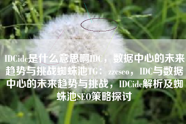 IDCidc是什么意思啊IDC，数据中心的未来趋势与挑战蜘蛛池TG：zzcseo，IDC与数据中心的未来趋势与挑战，IDCidc解析及蜘蛛池SEO策略探讨