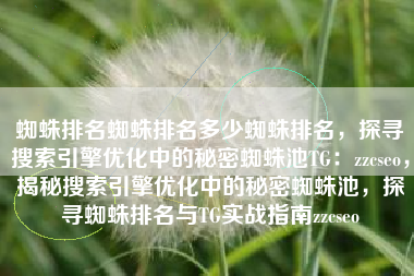 蜘蛛排名蜘蛛排名多少蜘蛛排名，探寻搜索引擎优化中的秘密蜘蛛池TG：zzcseo，揭秘搜索引擎优化中的秘密蜘蛛池，探寻蜘蛛排名与TG实战指南zzcseo