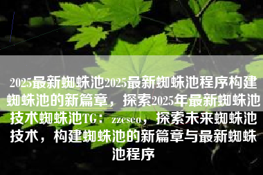 2025最新蜘蛛池2025最新蜘蛛池程序构建蜘蛛池的新篇章，探索2025年最新蜘蛛池技术蜘蛛池TG：zzcseo，探索未来蜘蛛池技术，构建蜘蛛池的新篇章与最新蜘蛛池程序