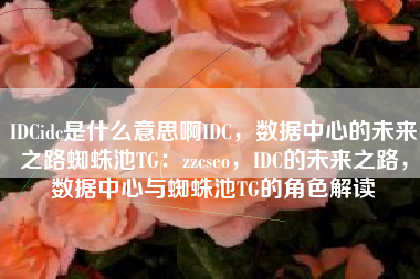 IDCidc是什么意思啊IDC，数据中心的未来之路蜘蛛池TG：zzcseo，IDC的未来之路，数据中心与蜘蛛池TG的角色解读