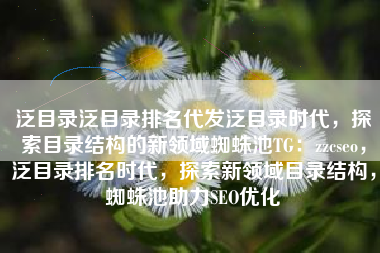 泛目录泛目录排名代发泛目录时代，探索目录结构的新领域蜘蛛池TG：zzcseo，泛目录排名时代，探索新领域目录结构，蜘蛛池助力SEO优化