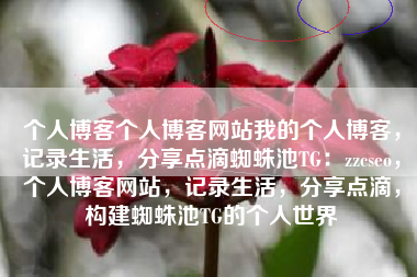 个人博客个人博客网站我的个人博客，记录生活，分享点滴蜘蛛池TG：zzcseo，个人博客网站，记录生活，分享点滴，构建蜘蛛池TG的个人世界