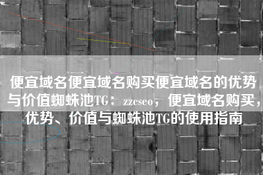 便宜域名便宜域名购买便宜域名的优势与价值蜘蛛池TG：zzcseo，便宜域名购买，优势、价值与蜘蛛池TG的使用指南