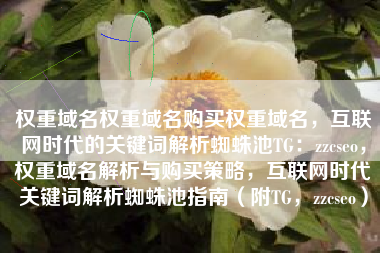 权重域名权重域名购买权重域名，互联网时代的关键词解析蜘蛛池TG：zzcseo，权重域名解析与购买策略，互联网时代关键词解析蜘蛛池指南（附TG，zzcseo）