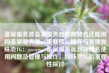 备案服务器备案服务器到期域名还能用吗备案服务器，重要性、操作与管理蜘蛛池TG：zzcseo，备案服务器到期域名使用问题及管理与操作，蜘蛛池TG的重要性探讨