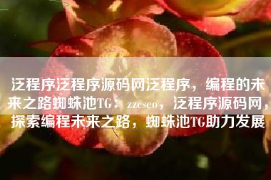 泛程序泛程序源码网泛程序，编程的未来之路蜘蛛池TG：zzcseo，泛程序源码网，探索编程未来之路，蜘蛛池TG助力发展