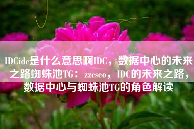 IDCidc是什么意思啊IDC，数据中心的未来之路蜘蛛池TG：zzcseo，IDC的未来之路，数据中心与蜘蛛池TG的角色解读