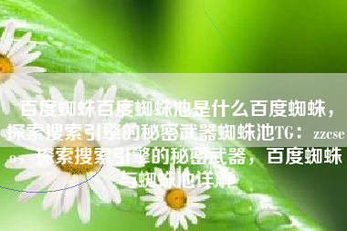 百度蜘蛛百度蜘蛛池是什么百度蜘蛛，探索搜索引擎的秘密武器蜘蛛池TG：zzcseo，探索搜索引擎的秘密武器，百度蜘蛛与蜘蛛池详解