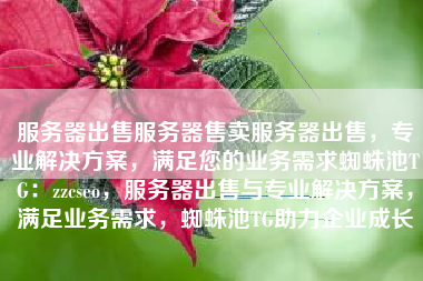 服务器出售服务器售卖服务器出售，专业解决方案，满足您的业务需求蜘蛛池TG：zzcseo，服务器出售与专业解决方案，满足业务需求，蜘蛛池TG助力企业成长