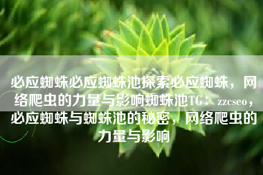 必应蜘蛛必应蜘蛛池探索必应蜘蛛，网络爬虫的力量与影响蜘蛛池TG：zzcseo，必应蜘蛛与蜘蛛池的秘密，网络爬虫的力量与影响