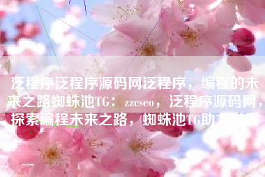 泛程序泛程序源码网泛程序，编程的未来之路蜘蛛池TG：zzcseo，泛程序源码网，探索编程未来之路，蜘蛛池TG助力发展
