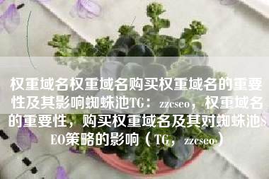 权重域名权重域名购买权重域名的重要性及其影响蜘蛛池TG：zzcseo，权重域名的重要性，购买权重域名及其对蜘蛛池SEO策略的影响（TG，zzcseo）