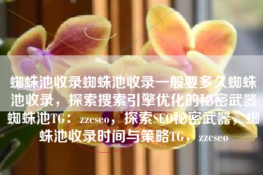 蜘蛛池收录蜘蛛池收录一般要多久蜘蛛池收录，探索搜索引擎优化的秘密武器蜘蛛池TG：zzcseo，探索SEO秘密武器，蜘蛛池收录时间与策略TG，zzcseo