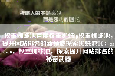 权重蜘蛛池百度权重蜘蛛ip权重蜘蛛池，提升网站排名的新领域探索蜘蛛池TG：zzcseo，权重蜘蛛池，探索提升网站排名的秘密武器