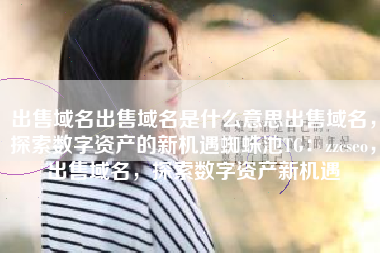 出售域名出售域名是什么意思出售域名，探索数字资产的新机遇蜘蛛池TG：zzcseo，出售域名，探索数字资产新机遇