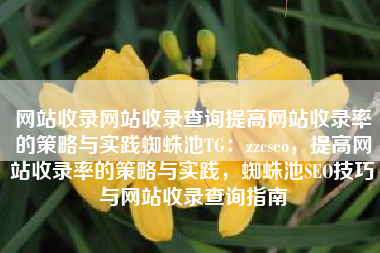 网站收录网站收录查询提高网站收录率的策略与实践蜘蛛池TG：zzcseo，提高网站收录率的策略与实践，蜘蛛池SEO技巧与网站收录查询指南