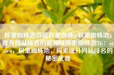 权重蜘蛛池百度权重蜘蛛ip权重蜘蛛池，提升网站排名的新领域探索蜘蛛池TG：zzcseo，权重蜘蛛池，探索提升网站排名的秘密武器