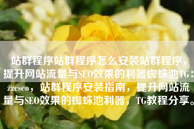 站群程序站群程序怎么安装站群程序，提升网站流量与SEO效果的利器蜘蛛池TG：zzcseo，站群程序安装指南，提升网站流量与SEO效果的蜘蛛池利器，TG教程分享。