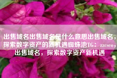 出售域名出售域名是什么意思出售域名，探索数字资产的新机遇蜘蛛池TG：zzcseo，出售域名，探索数字资产新机遇