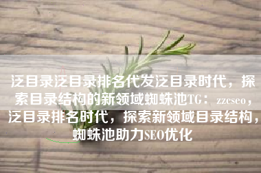 泛目录泛目录排名代发泛目录时代，探索目录结构的新领域蜘蛛池TG：zzcseo，泛目录排名时代，探索新领域目录结构，蜘蛛池助力SEO优化