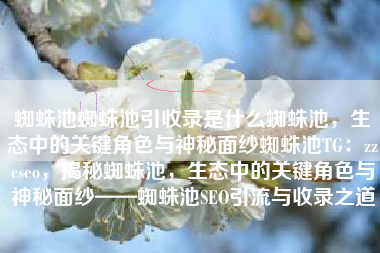蜘蛛池蜘蛛池引收录是什么蜘蛛池，生态中的关键角色与神秘面纱蜘蛛池TG：zzcseo，揭秘蜘蛛池，生态中的关键角色与神秘面纱——蜘蛛池SEO引流与收录之道