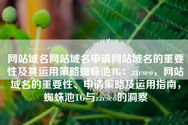 网站域名网站域名申请网站域名的重要性及其运用策略蜘蛛池TG：zzcseo，网站域名的重要性、申请策略及运用指南，蜘蛛池TG与zzcseo的洞察