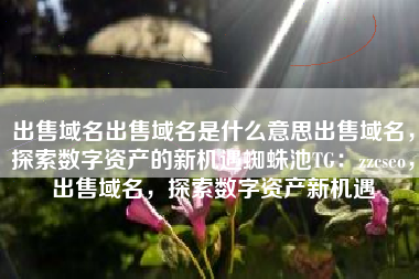 出售域名出售域名是什么意思出售域名，探索数字资产的新机遇蜘蛛池TG：zzcseo，出售域名，探索数字资产新机遇