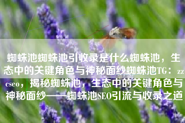 蜘蛛池蜘蛛池引收录是什么蜘蛛池，生态中的关键角色与神秘面纱蜘蛛池TG：zzcseo，揭秘蜘蛛池，生态中的关键角色与神秘面纱——蜘蛛池SEO引流与收录之道