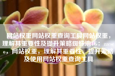 网站权重网站权重查询工具网站权重，理解其重要性及提升策略蜘蛛池TG：zzcseo，网站权重，理解其重要性、提升策略及使用网站权重查询工具