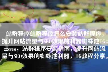 站群程序站群程序怎么安装站群程序，提升网站流量与SEO效果的利器蜘蛛池TG：zzcseo，站群程序安装指南，提升网站流量与SEO效果的蜘蛛池利器，TG教程分享。