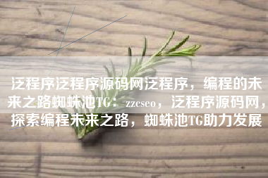 泛程序泛程序源码网泛程序，编程的未来之路蜘蛛池TG：zzcseo，泛程序源码网，探索编程未来之路，蜘蛛池TG助力发展