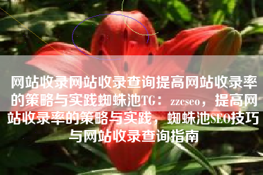 网站收录网站收录查询提高网站收录率的策略与实践蜘蛛池TG：zzcseo，提高网站收录率的策略与实践，蜘蛛池SEO技巧与网站收录查询指南
