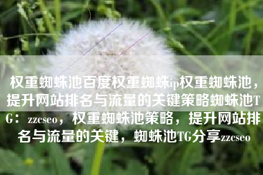 权重蜘蛛池百度权重蜘蛛ip权重蜘蛛池，提升网站排名与流量的关键策略蜘蛛池TG：zzcseo，权重蜘蛛池策略，提升网站排名与流量的关键，蜘蛛池TG分享zzcseo