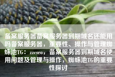 备案服务器备案服务器到期域名还能用吗备案服务器，重要性、操作与管理蜘蛛池TG：zzcseo，备案服务器到期域名使用问题及管理与操作，蜘蛛池TG的重要性探讨
