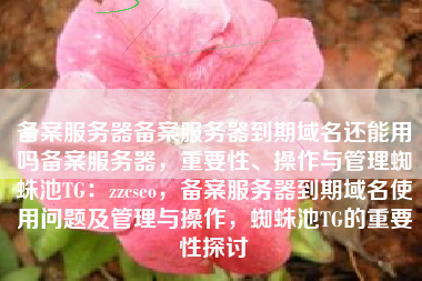 备案服务器备案服务器到期域名还能用吗备案服务器，重要性、操作与管理蜘蛛池TG：zzcseo，备案服务器到期域名使用问题及管理与操作，蜘蛛池TG的重要性探讨