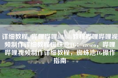 详细教程_哔哩哔哩bilibili教程哔哩哔哩视频制作详细教程蜘蛛池TG：zzcseo，哔哩哔哩视频制作详细教程，蜘蛛池TG操作指南