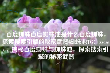 百度蜘蛛百度蜘蛛池是什么百度蜘蛛，探索搜索引擎的秘密武器蜘蛛池TG：zzcseo，揭秘百度蜘蛛与蜘蛛池，探索搜索引擎的秘密武器