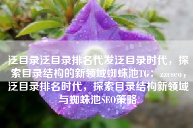 泛目录泛目录排名代发泛目录时代，探索目录结构的新领域蜘蛛池TG：zzcseo，泛目录排名时代，探索目录结构新领域与蜘蛛池SEO策略