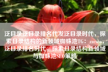 泛目录泛目录排名代发泛目录时代，探索目录结构的新领域蜘蛛池TG：zzcseo，泛目录排名时代，探索目录结构新领域与蜘蛛池SEO策略