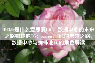 IDCidc是什么意思啊IDC，数据中心的未来之路蜘蛛池TG：zzcseo，IDC的未来之路，数据中心与蜘蛛池TG的角色解读