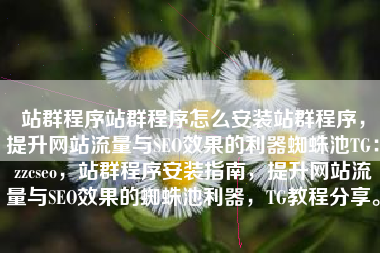 站群程序站群程序怎么安装站群程序，提升网站流量与SEO效果的利器蜘蛛池TG：zzcseo，站群程序安装指南，提升网站流量与SEO效果的蜘蛛池利器，TG教程分享。