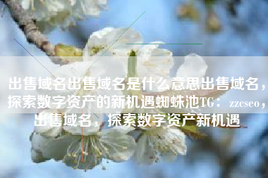 出售域名出售域名是什么意思出售域名，探索数字资产的新机遇蜘蛛池TG：zzcseo，出售域名，探索数字资产新机遇