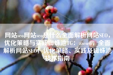 网站seo网站seo是什么全面解析网站SEO，优化策略与实践蜘蛛池TG：zzcseo，全面解析网站SEO，优化策略、实践及蜘蛛池技术指南